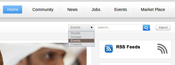 Joomla search box