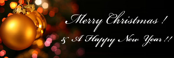 Merry Christmas! & a Happy New Year !!